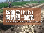 种植基地七(图1)