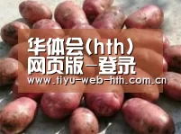 产品展示标题5