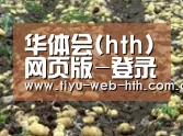 种植基地八(图1)