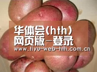 产品展示标题1