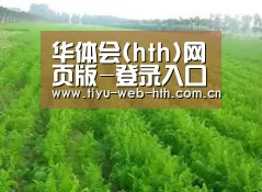 种植基地四