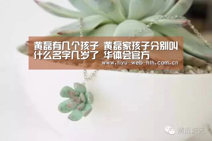 华体会登录
