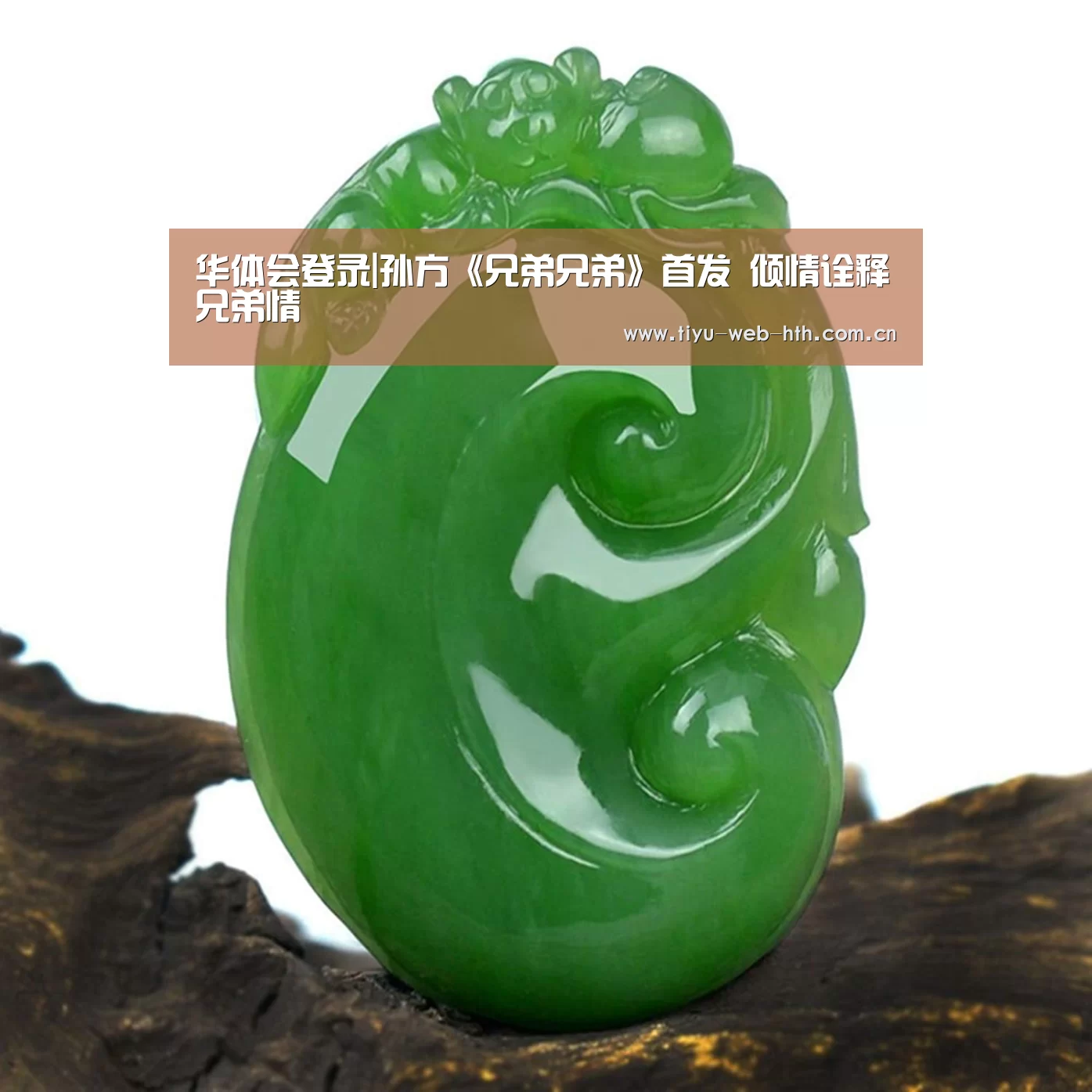 华体会登录|孙方《兄弟兄弟》首发 倾情诠释兄弟情(图1) 华体会官网